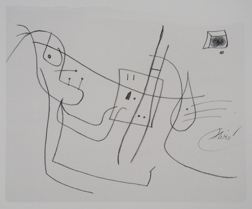 Joan miro artista al lavoro - miro:,